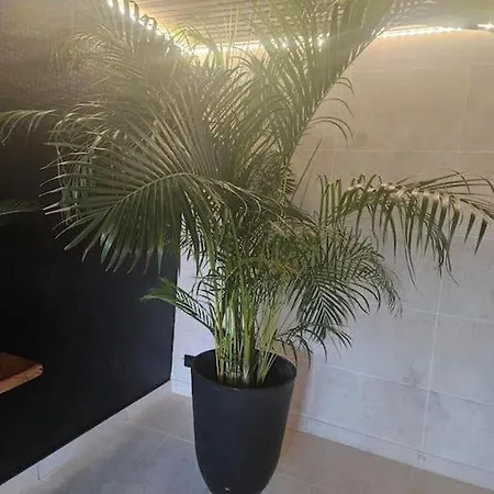 Design Jacuzzi Sauna, Salle De Sports Apartamento