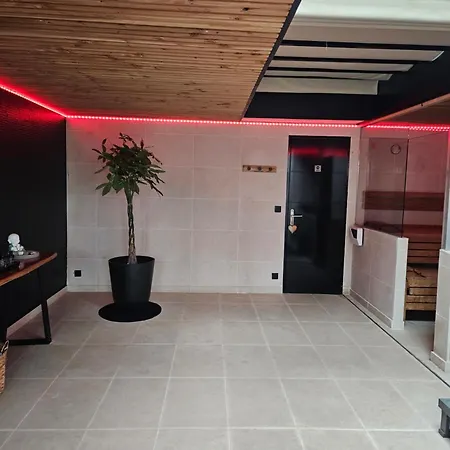 Design Jacuzzi Sauna, Salle De Sports * Emmerin