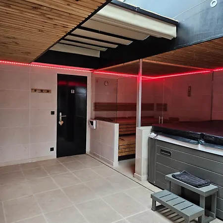 Design Jacuzzi Sauna, Salle De Sports Emmerin